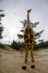 公園って楽しい、キリン。