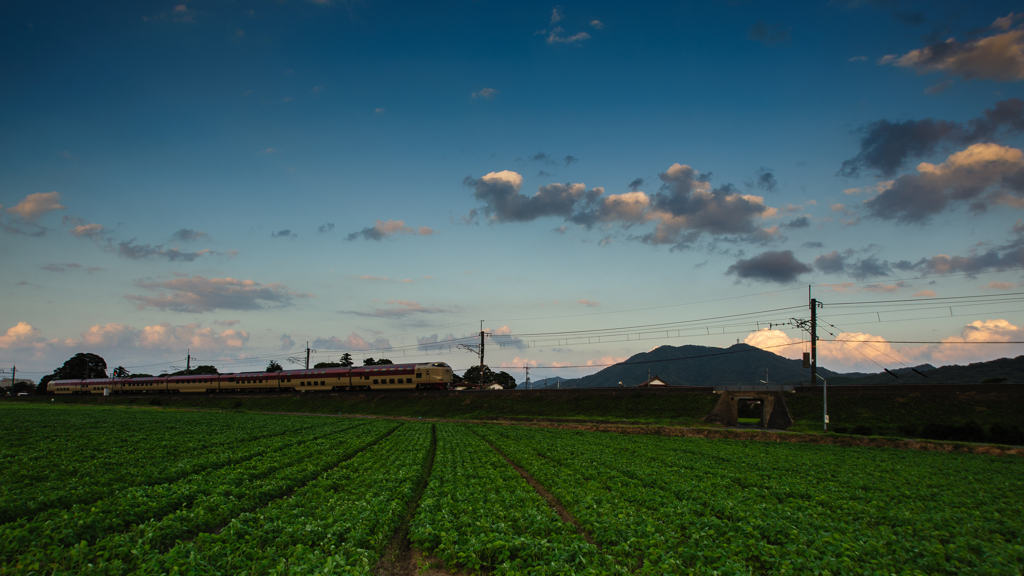 夏の夕方。