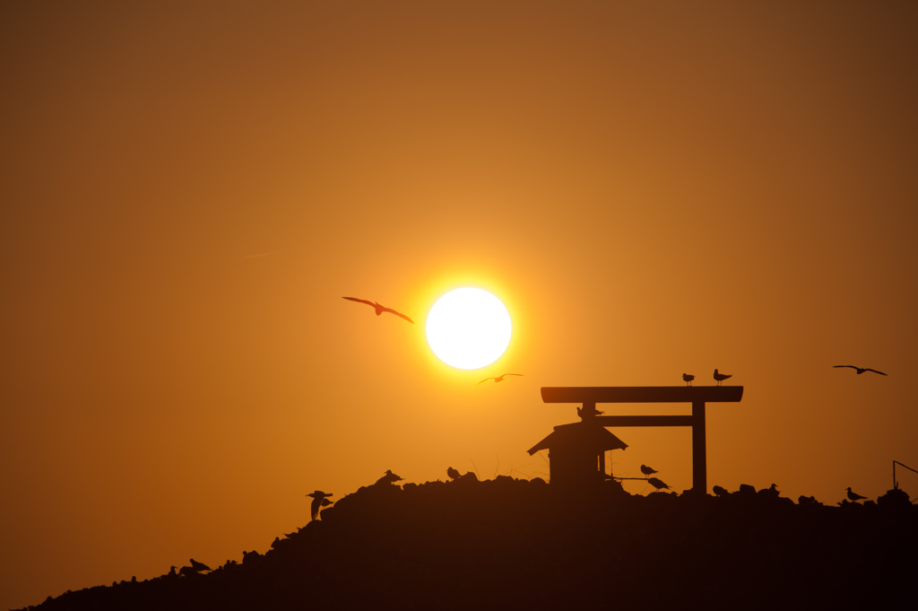 夕日に向って。