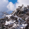 立久恵峡、雪。