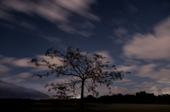 星空と雲と木。