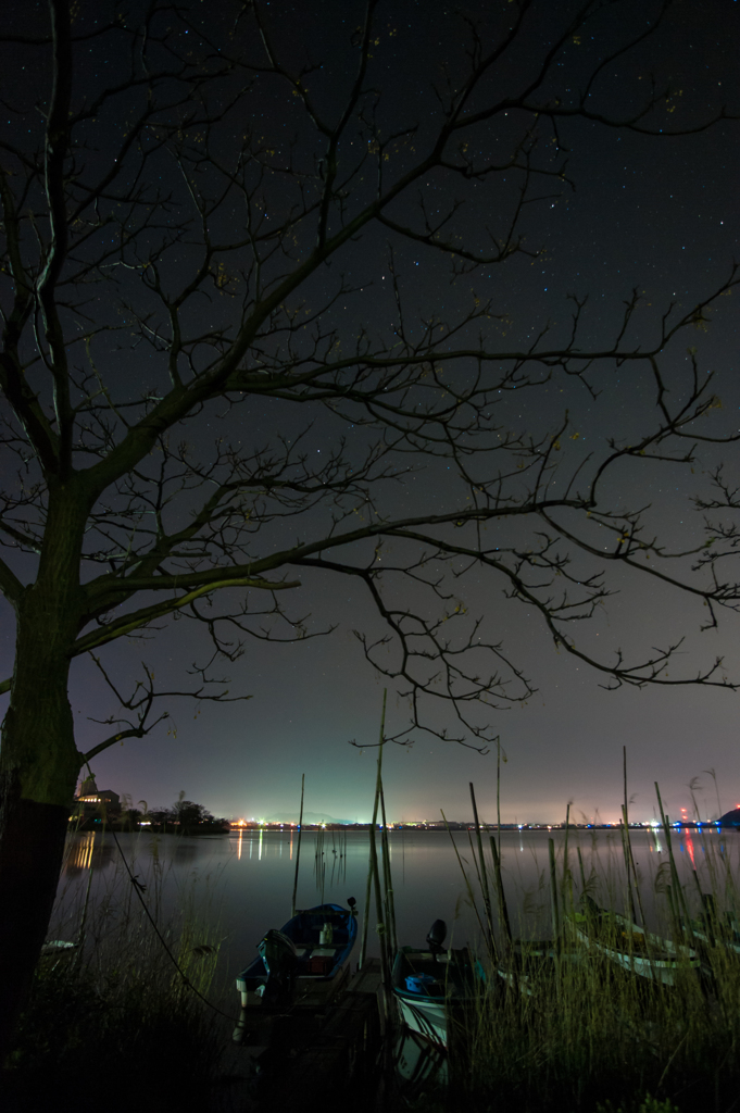 夜の神西湖。