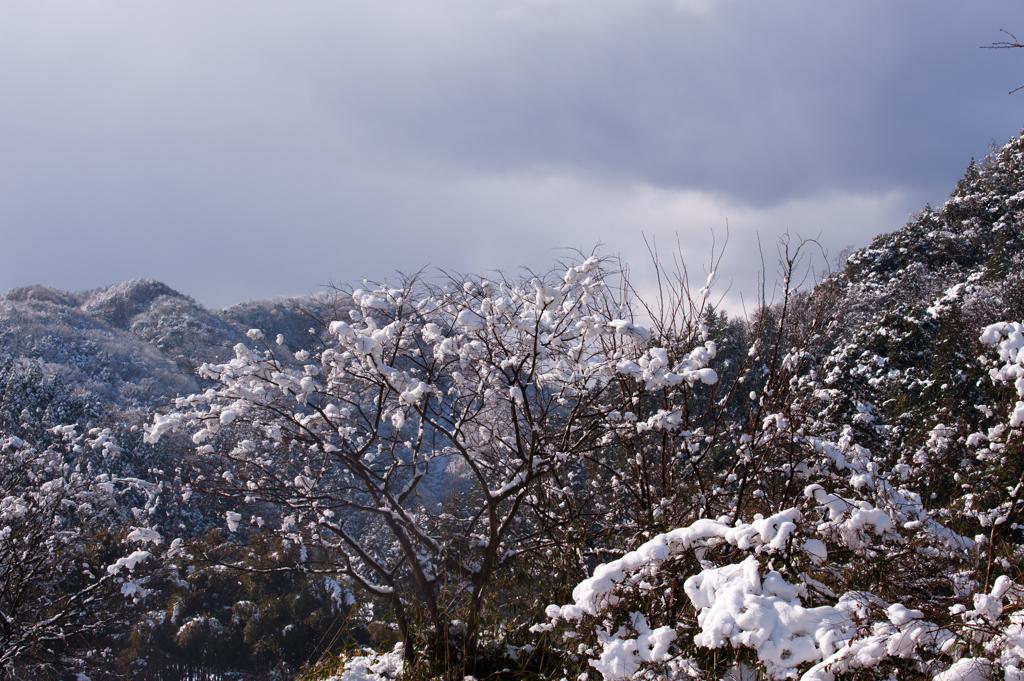 立久恵峡、雪景色。