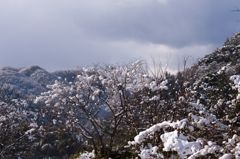 立久恵峡、雪景色。