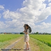 夏の色。