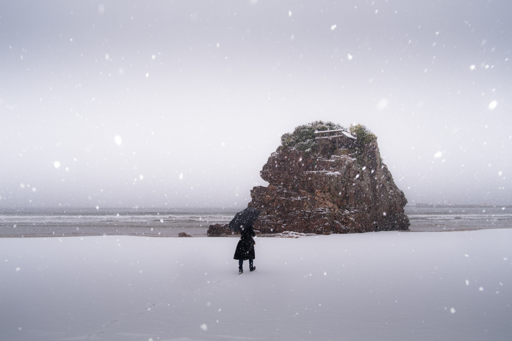 雪の降る中を。