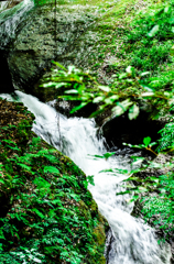 鰐淵寺川、流れ。