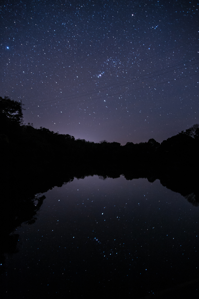 ため池の星たち。
