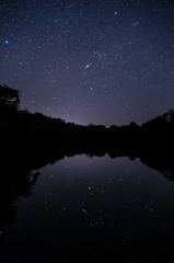 ため池の星たち。