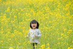 菜の花