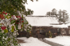 雪の須佐神社。 雪の須佐神社。