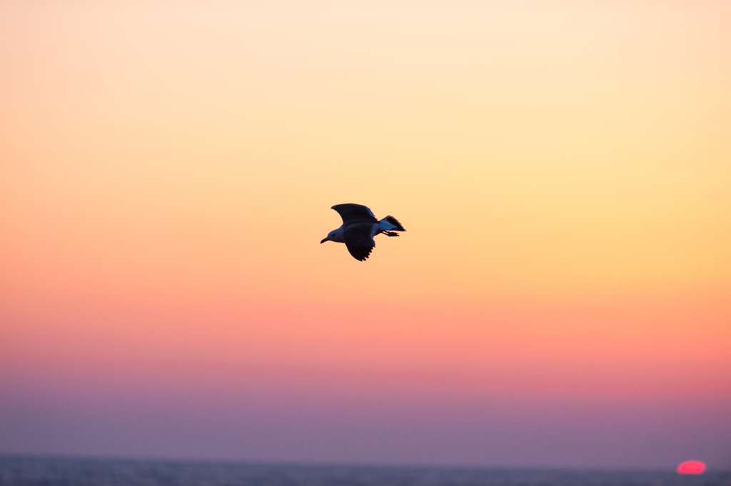 沈む夕日。
