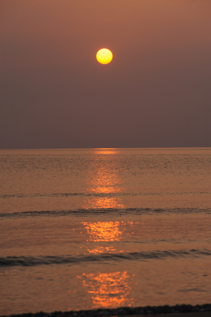 夕日。