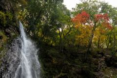 龍頭が滝と紅葉