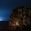 海の星たち。
