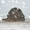 雪降る。