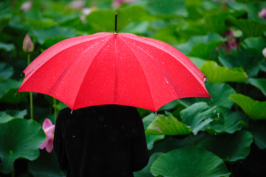 雨垂れ。