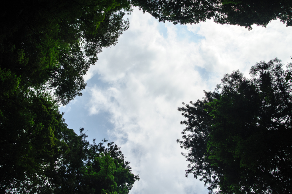 見上げた空は。