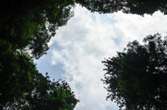 見上げた空は。