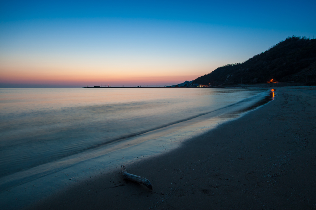 浜辺の流木。