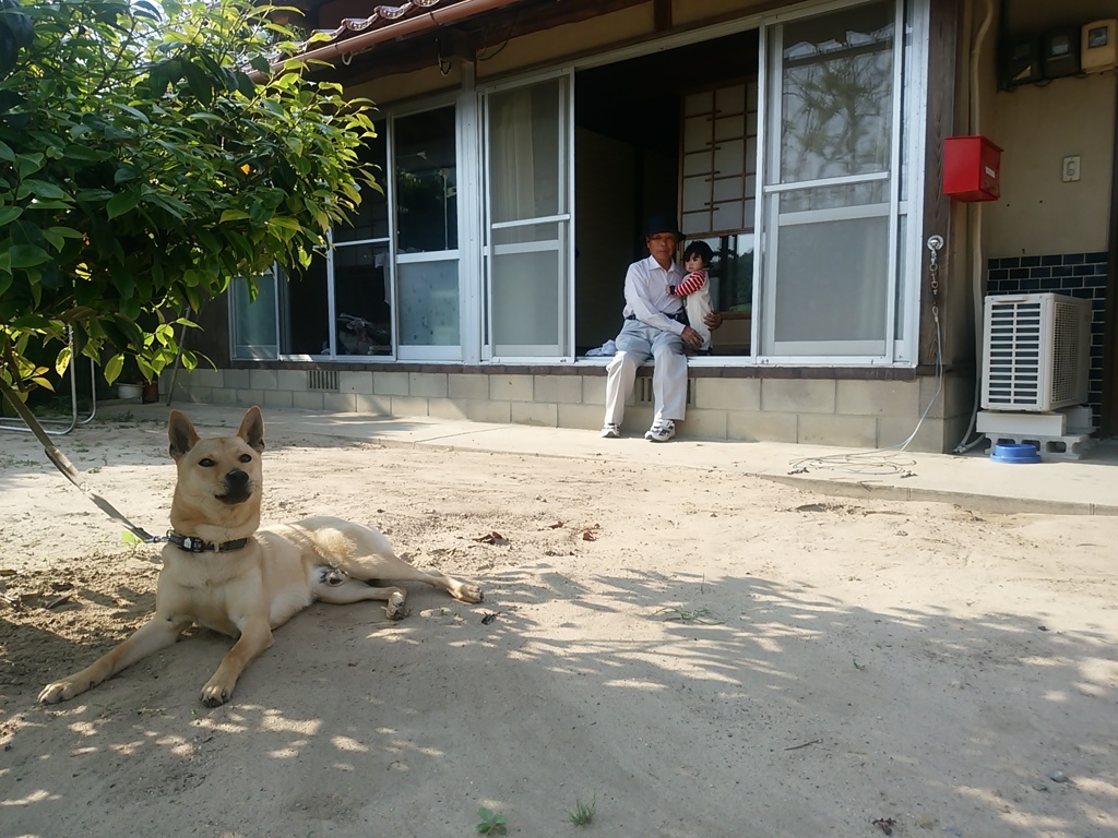 初夏の庭。