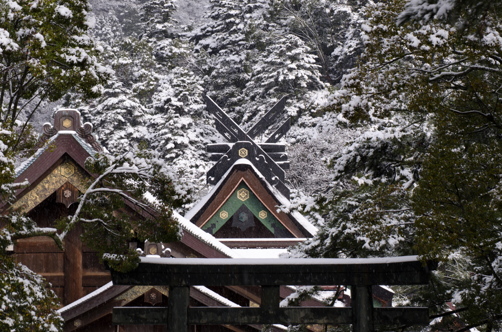出雲大社、雪景色。