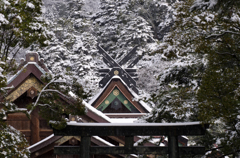 出雲大社、雪景色。
