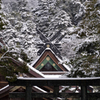 出雲大社、雪景色。