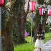 桜道。