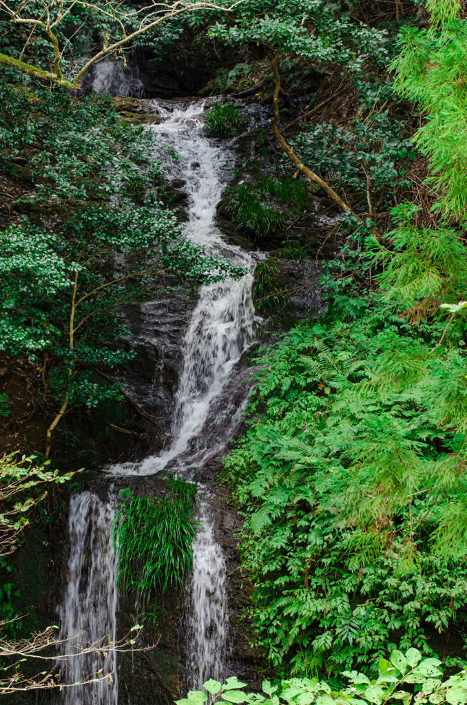鰐淵寺川、滝。