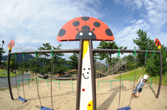 公園って楽しい、テントウムシ。