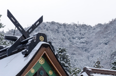 出雲大社、雪景色、千木。