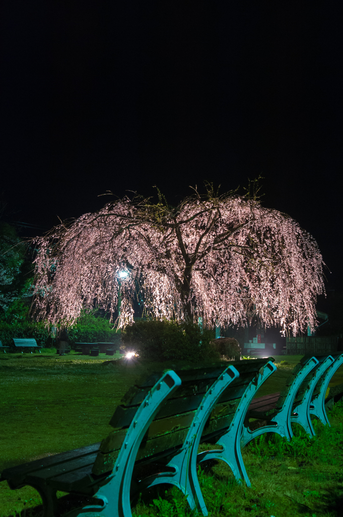 夜の斐川公園。