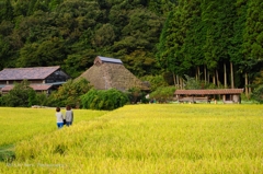 茅葺屋根の家でなにかしてる。