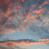 茜雲。