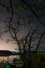 神西湖夜景。