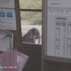駅舎の窓越しに。