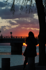 彼女ごしの夕日。