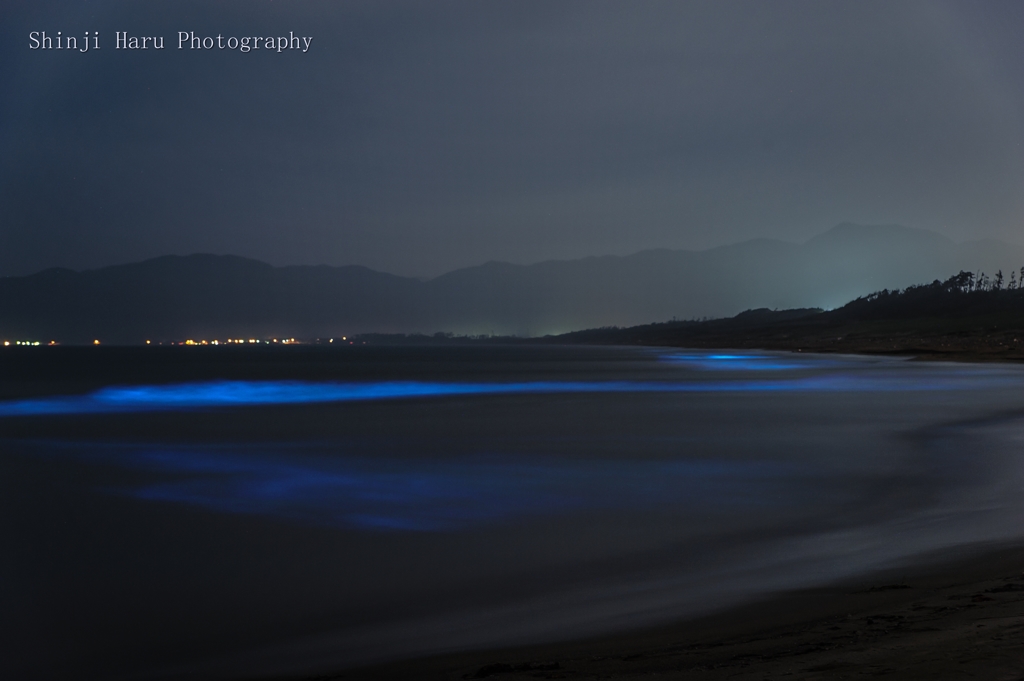 夜光虫の浜。