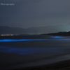 夜光虫の浜。