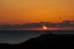 経島夕景。