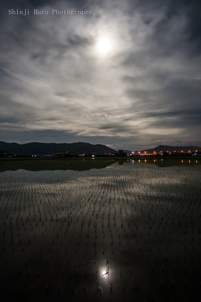 月空を映す水田。