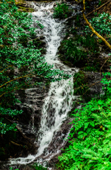 鰐淵寺川に流れ込む滝。
