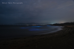 夜光虫の浜で。