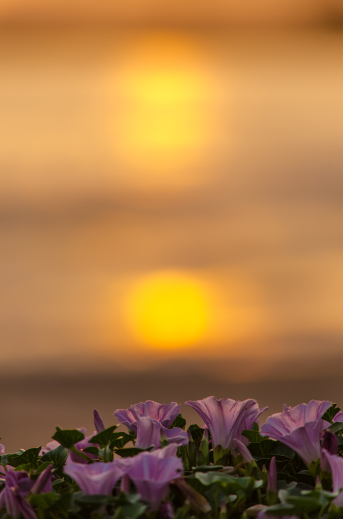 2013年５月３０日稲佐の浜にて