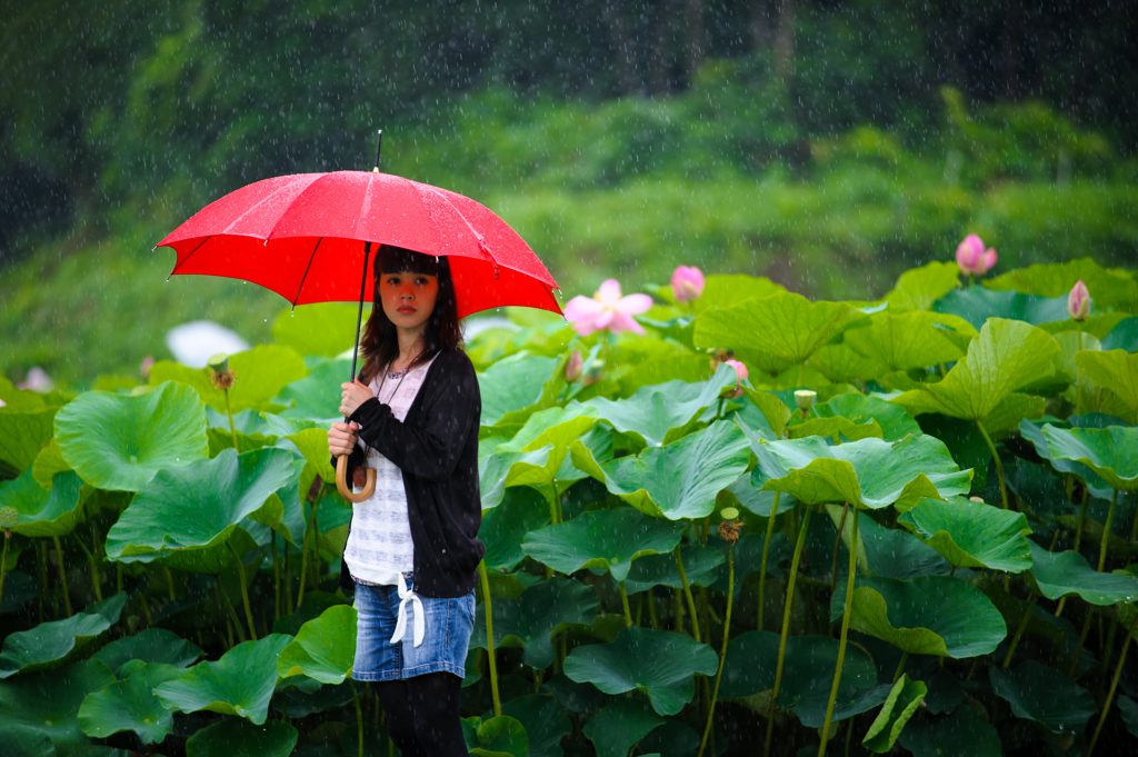 雨に咲く。