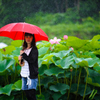 雨に咲く。