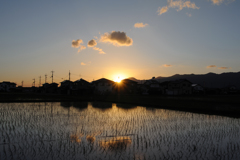 水田鏡。