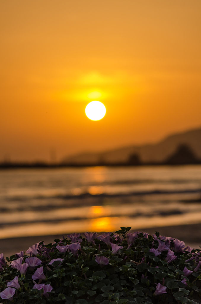 2013年５月３０日稲佐の浜にて