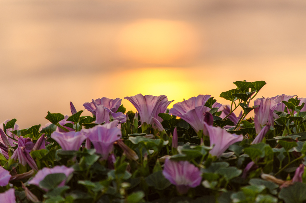 2013年５月３０日稲佐の浜にて